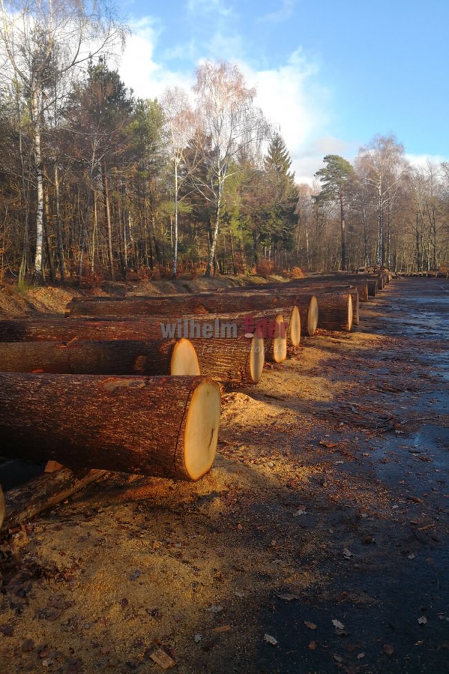 Wood submission Wood submission